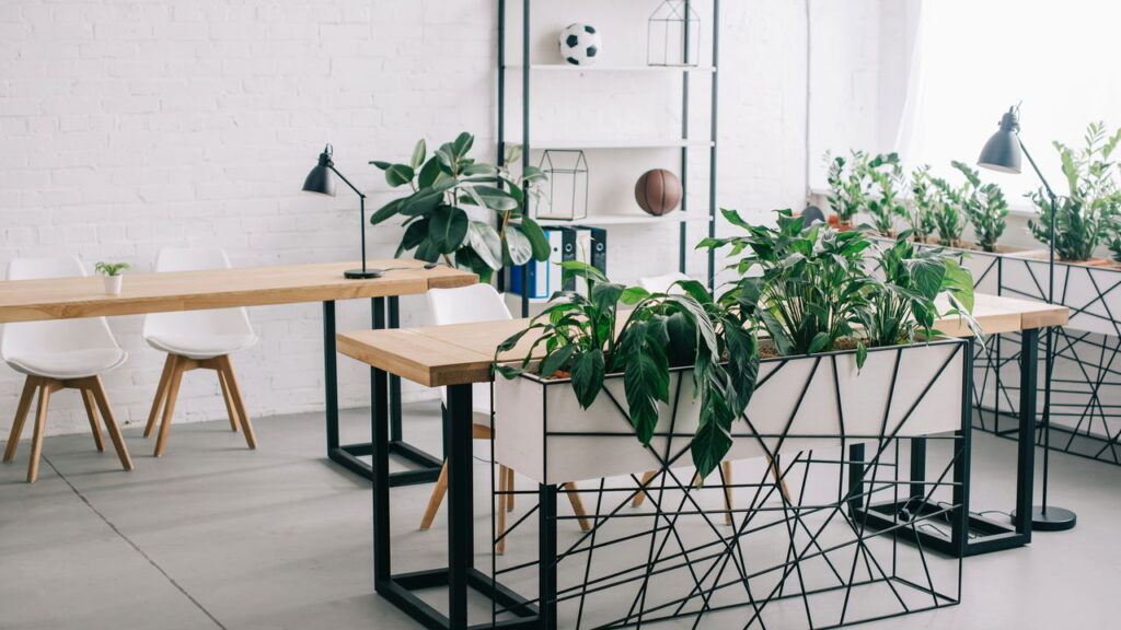 As plantas perfeitas para se ter no escritório e aumentar a produtividade de todos