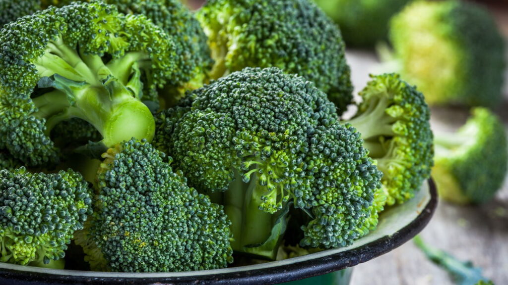 Esse vegetal virou febre entre quem quer saúde e economia