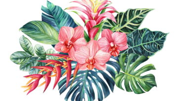 As melhores flores para decorar ambientes internos com elegância