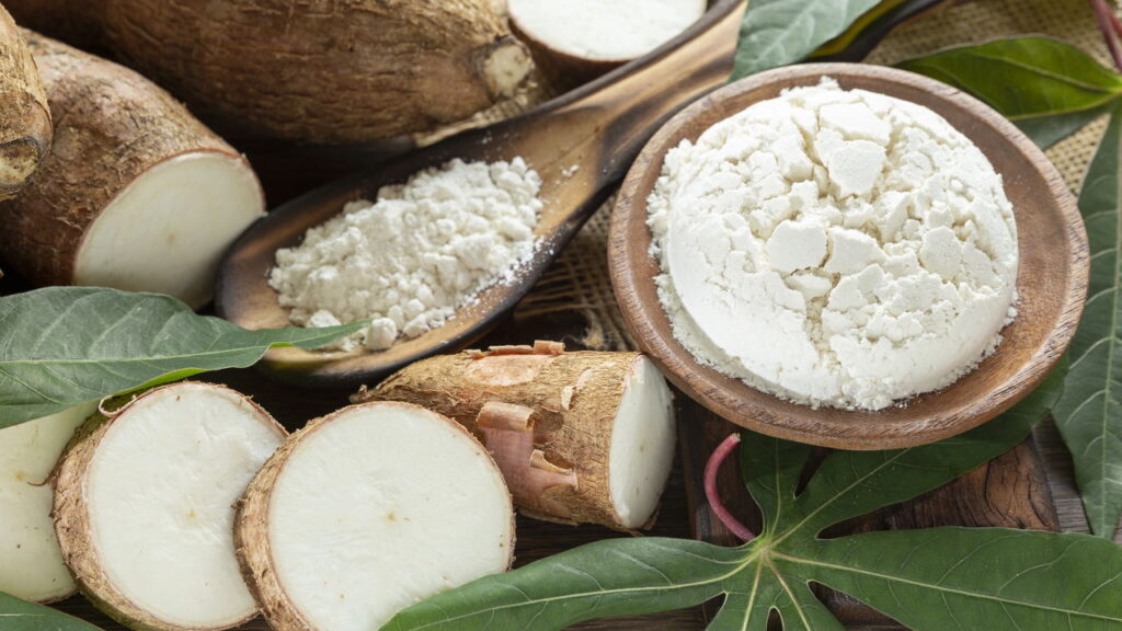 O guia mais completo para plantar mandioca em casa com sucesso