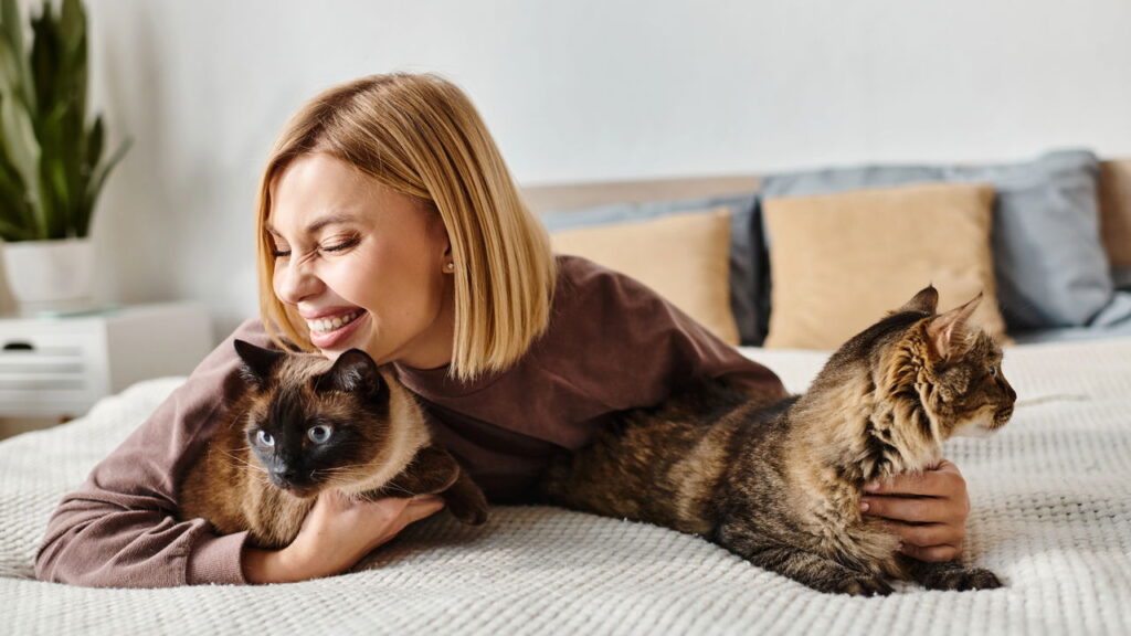O comportamento mais mal interpretado dos gatos tem uma explicação incrível