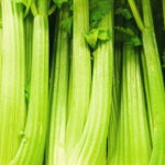 Esse vegetal quase esquecido pode transformar sua saúde sem esforço