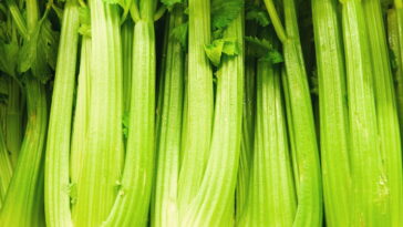 Esse vegetal quase esquecido pode transformar sua saúde sem esforço