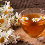 A planta medicinal mais versátil para ter em casa