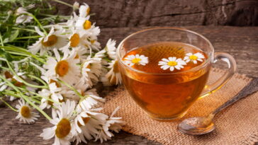 A planta medicinal mais versátil para ter em casa