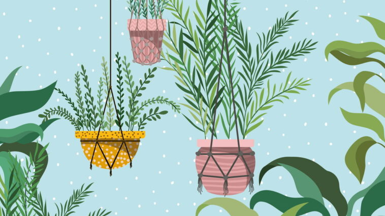 O item artesanal mais desejado por quem ama plantas e ambientes naturais