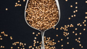 O vegetal subestimado que fortalece o corpo e combate inflamações