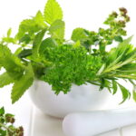 Estas plantas podem transformar sua energia sem você perceber