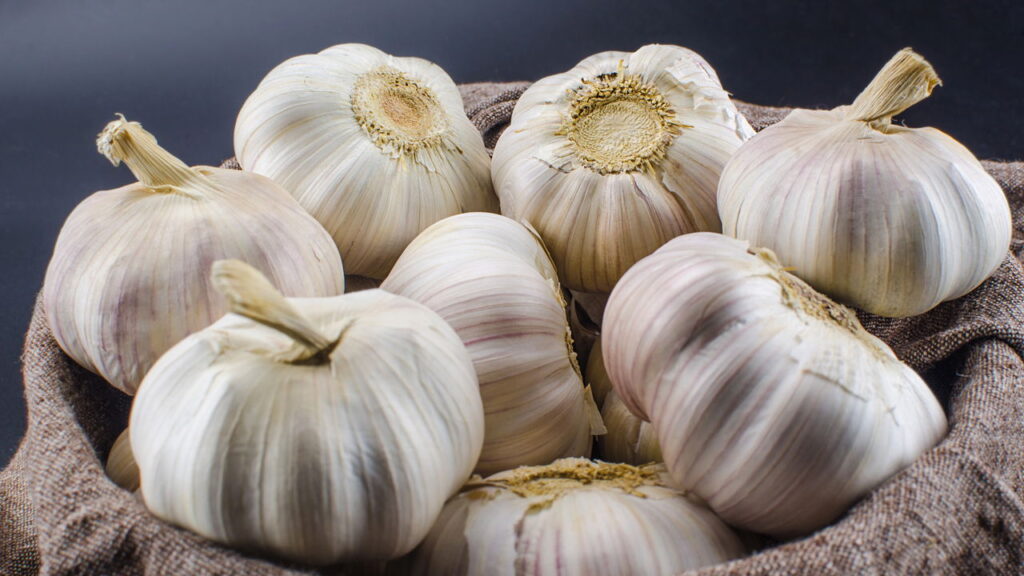 Esse truque simples mudou a forma como cultivo alho em casa
