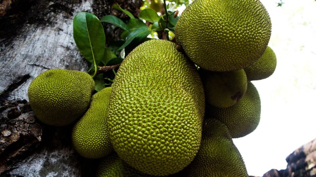 Nutricionistas estão indicando esta fruta tropical por um motivo inesperado