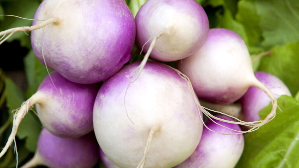Simples, acessível, poderoso, e quase ninguém valoriza