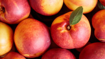 Pouco falada mas cheia de benefícios essa fruta é um tesouro na feira