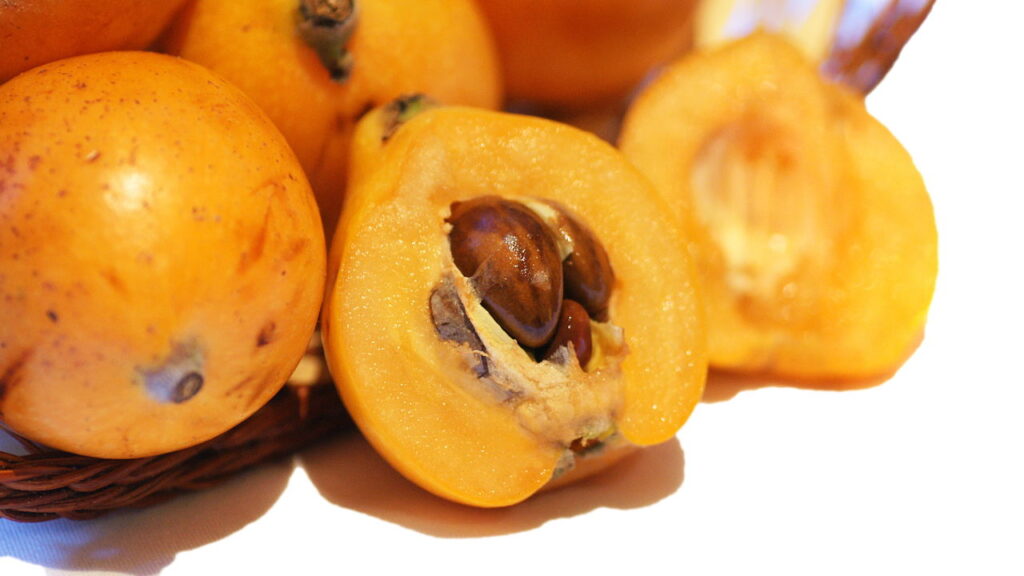 A fruta com o maior potencial nutricional que poucos consomem