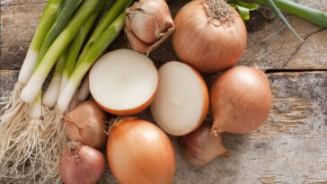 O vegetal mais presente na cozinha pode ser o mais fácil de cultivar