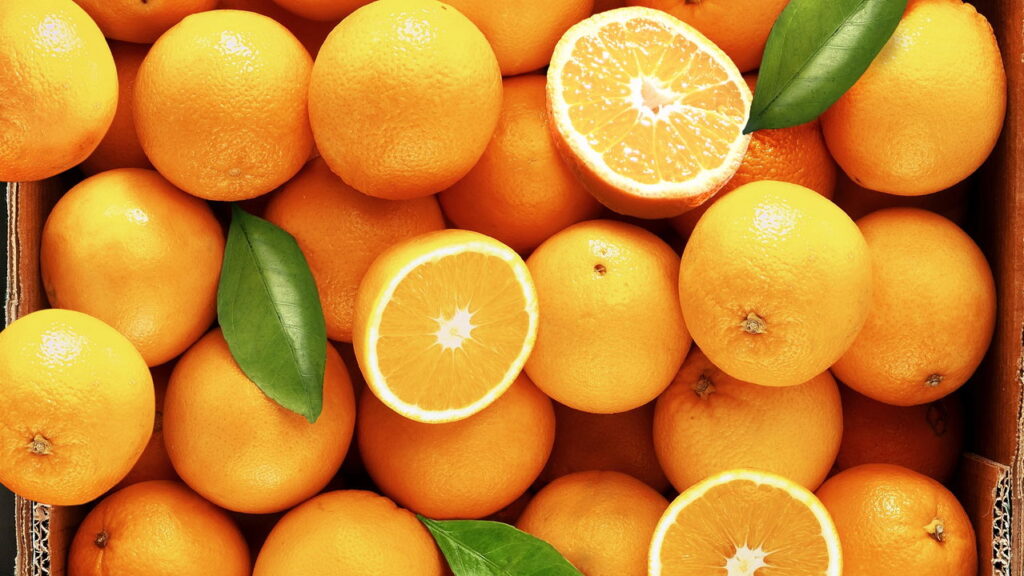 Cultivar laranja em casa virou tendência e tem um bom motivo