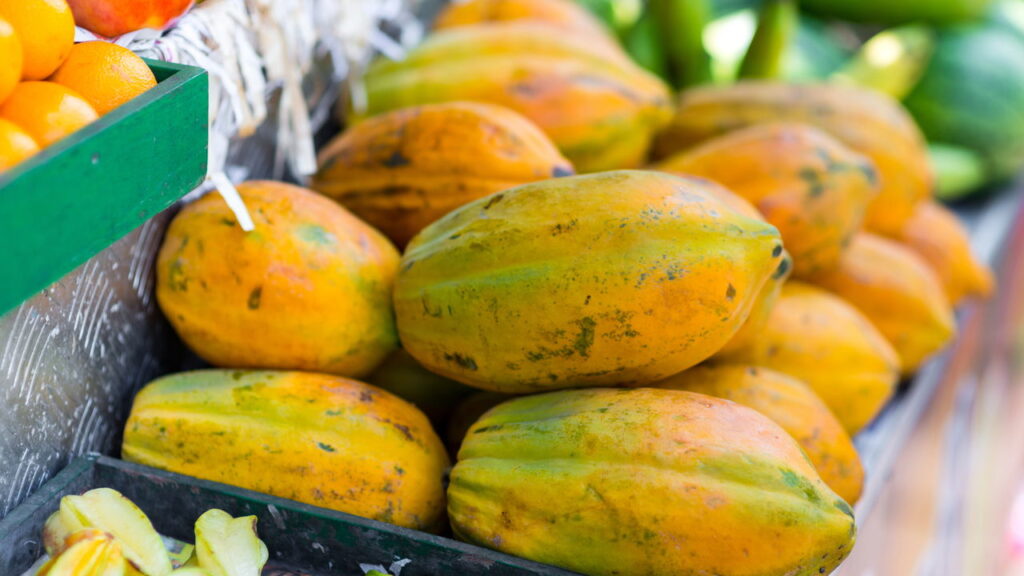 O alimento funcional que está ganhando espaço nas dietas modernas