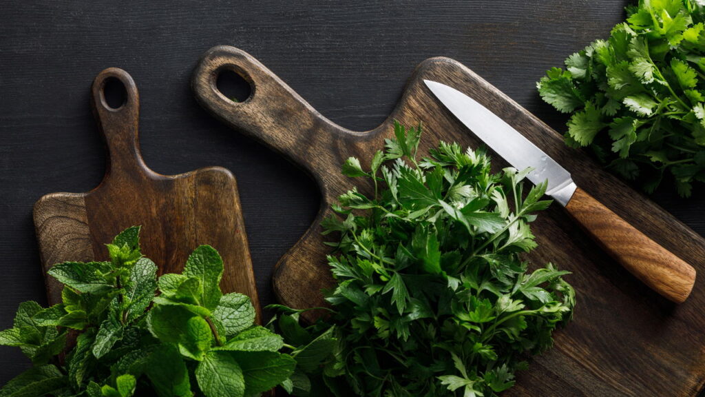 Da semente ao tempero veja como cultivar salsa e turbinar sua alimentação