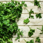 Da semente ao tempero veja como cultivar salsa e turbinar sua alimentação