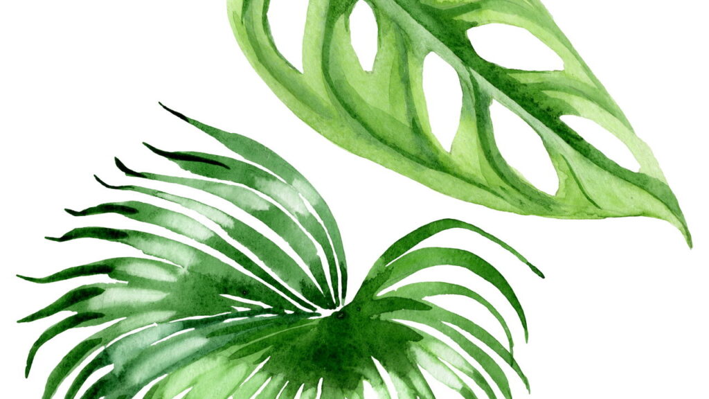 As melhores plantas para purificar ambientes e atrair prosperidade