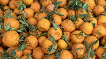 Essa fruta doce e fácil de descascar pode proteger seu corpo de várias doenças
