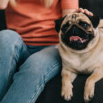 A peça artesanal que está encantando quem ama bichinhos de crochê