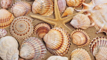 Esse detalhe de crochê virou o novo xodó das apaixonadas por praia