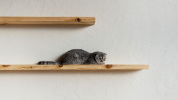 Essa prateleira feita à mão pode mudar totalmente a sua casa