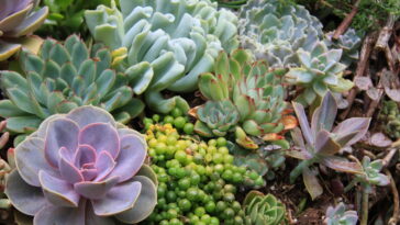 O crochê que virou presente perfeito e deixou a decoração mais afetiva