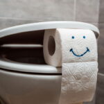 O segredo histórico sobre o papel higiênico