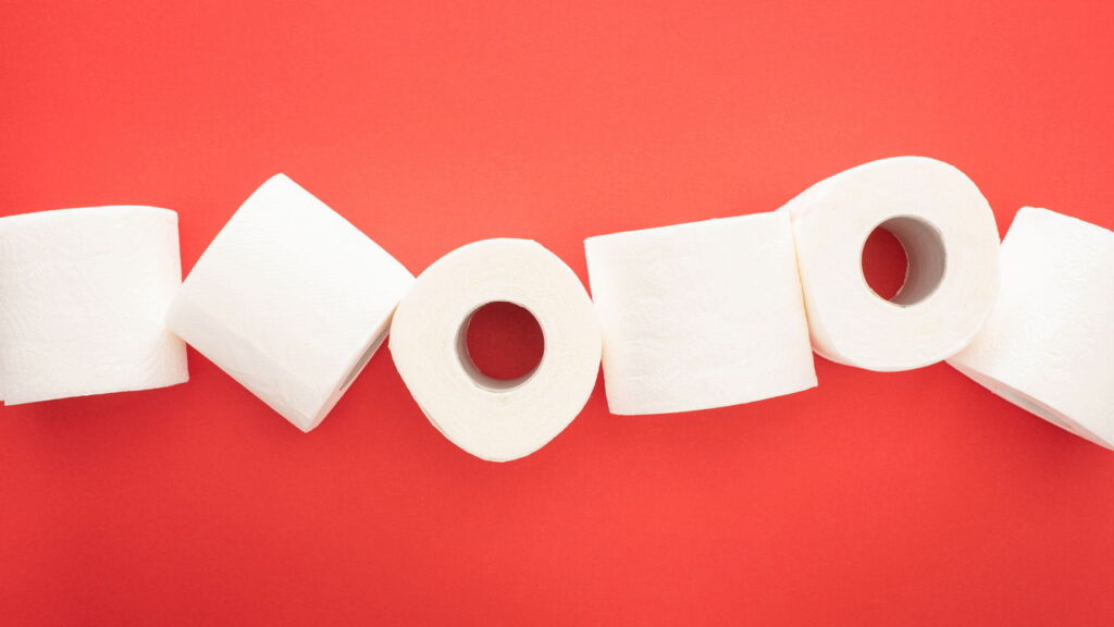 O segredo histórico sobre o papel higiênico
