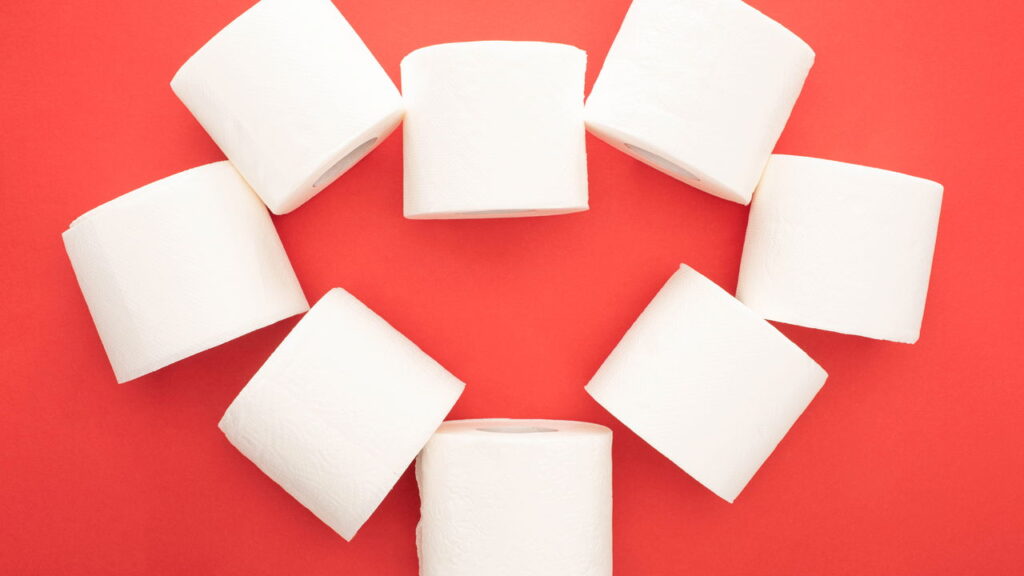 O segredo histórico sobre o papel higiênico
