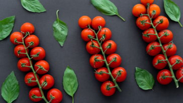 Esse truque está revolucionando o cultivo de tomates