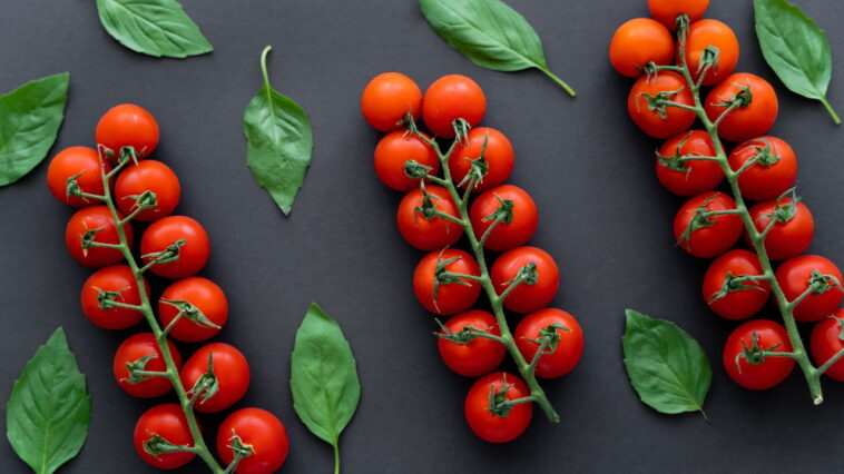 Esse truque está revolucionando o cultivo de tomates