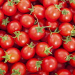 O segredo para ter tomates fresquinhos direto do seu quintal
