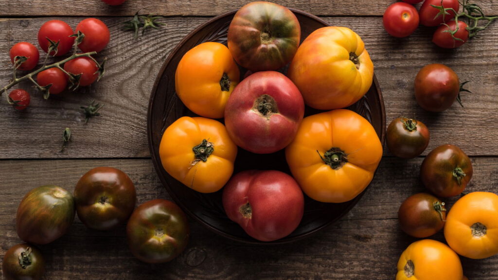O segredo para ter tomates fresquinhos direto do seu quintal