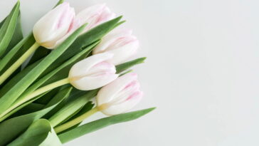 Essa flor feita à mão virou tendência entre artesãs e decoradoras