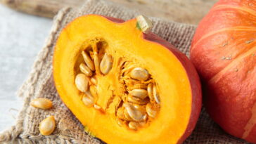 A melhor forma de cultivar abóbora em casa sem precisar de quintal