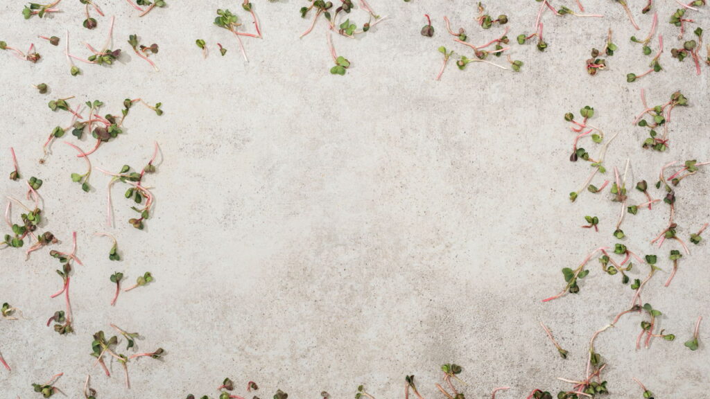 O vegetal que ninguém valoriza virou estrela de uma sopa irresistível

