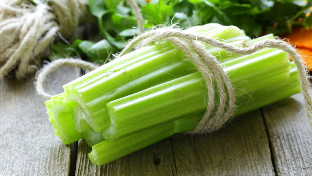 O vegetal que virou segredo natural contra o envelhecimento cerebral