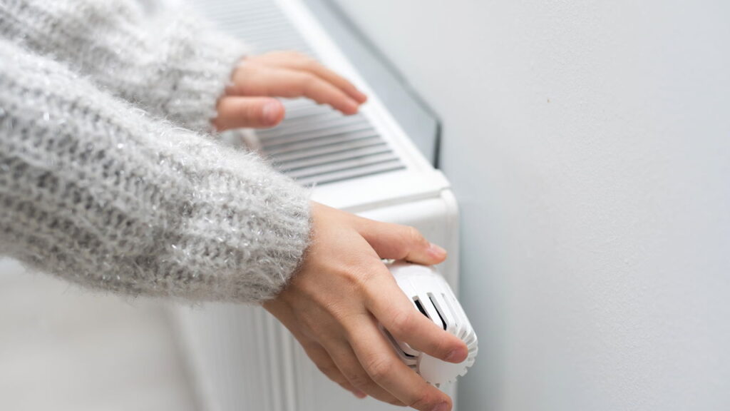 O que ninguém te contou sobre o uso da estufa elétrica no inverno
