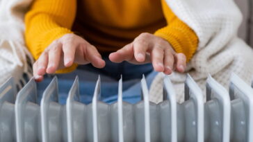 O que ninguém te contou sobre o uso da estufa elétrica no inverno