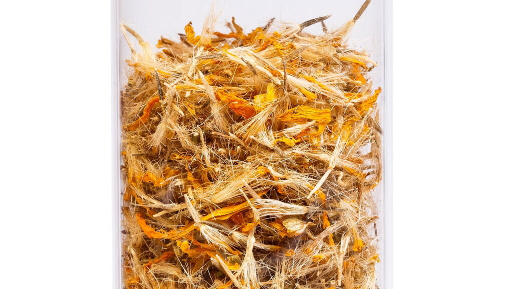 Como cultivar arnica em casa do jeito certo e sem mistério
