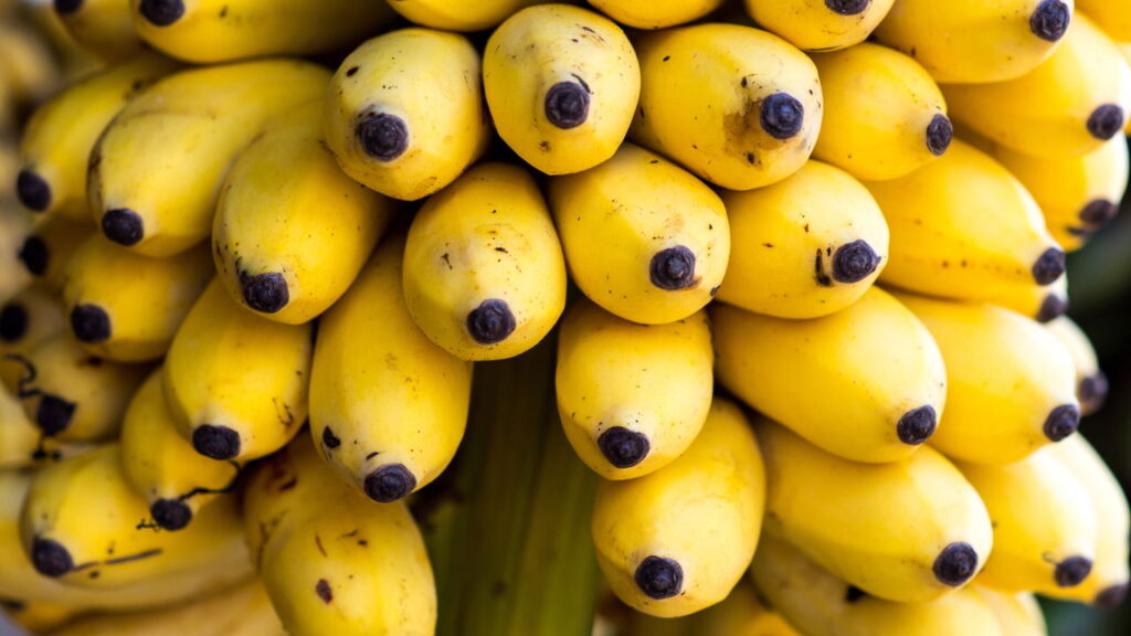 Essa fruta virou queridinha de quem cuida da saúde em casa