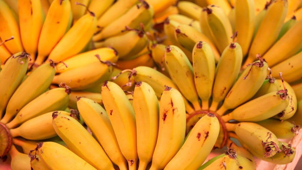 O truque mais simples e eficaz para suas bananas durarem mais