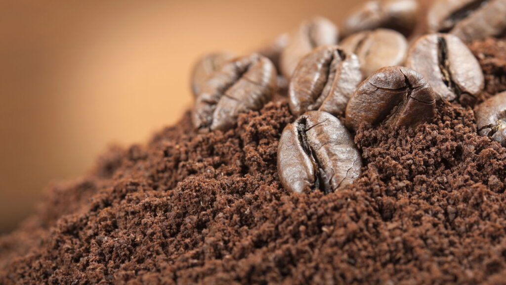 Guia definitivo para armazenar café moído e preservar seu sabor