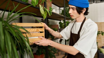 Jardineiras artesanais trazem vida aos ambientes internos