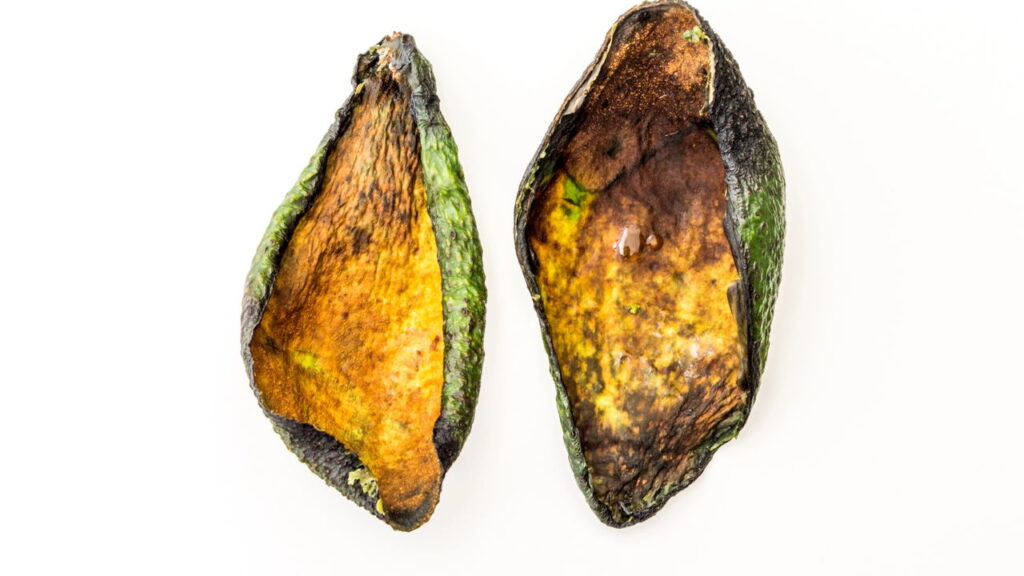 Transforme resíduos em nutrientes com um gesto simples e sustentável

