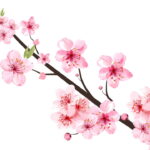 Um pequeno florido de crochê que carrega beleza e significado