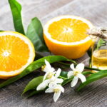 Essa flor mediterrânea milenar esconde segredos que vão te surpreender