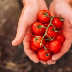 O acompanhamento que virou o segredo dos chefs para realçar pratos simples